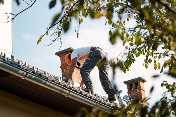 Best Roof Maintenance Services  in Linden, CA